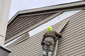 Best Siding Painting and Refinishing  in Langhorne, PA